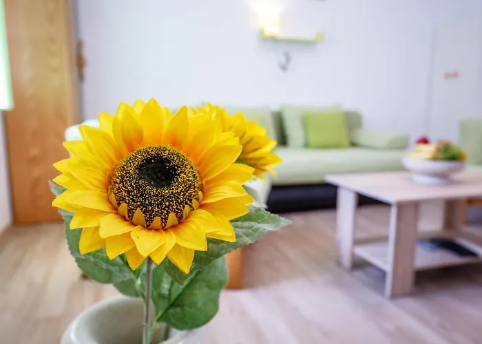 Apartman Forest *