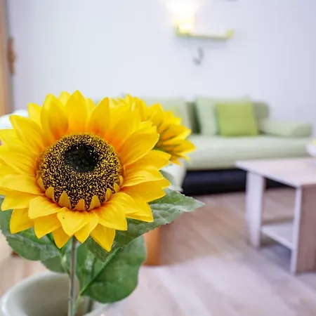Apartamento Forest *